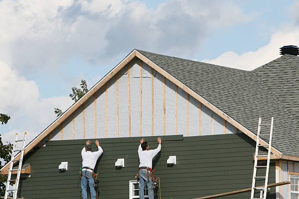 Best Vinyl Siding Installation  in Homestead Meadows South, TX