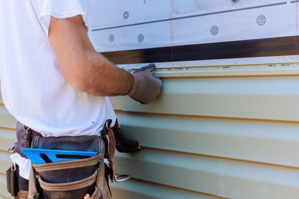 Affordable Siding Repair and Maintenance Services in Homestead Meadows South, TX